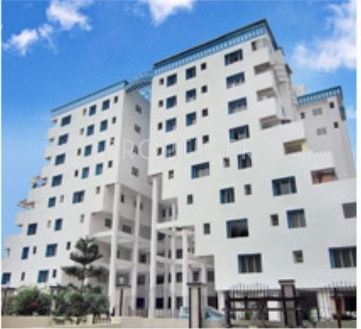 Images for Elevation of Fern Fern Icon