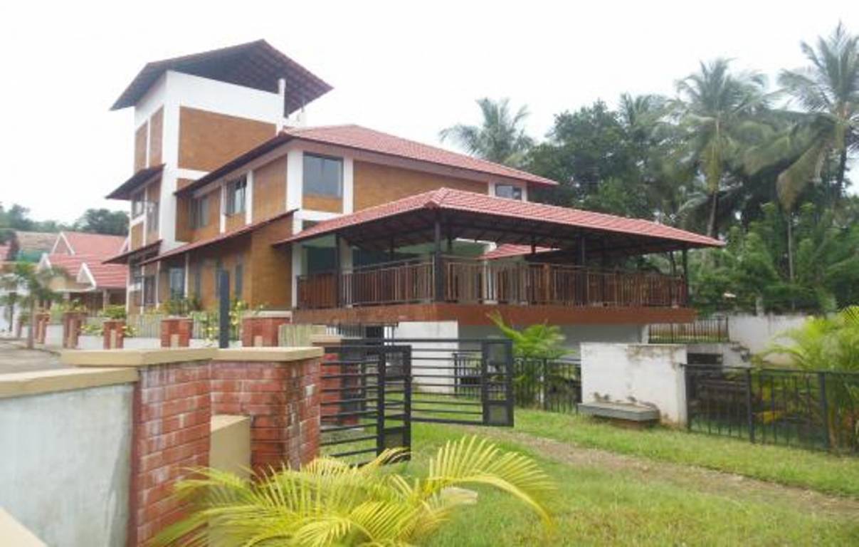 Images for Elevation of Apollo Seasons