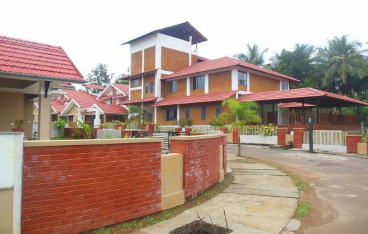 Images for Elevation of Apollo Seasons