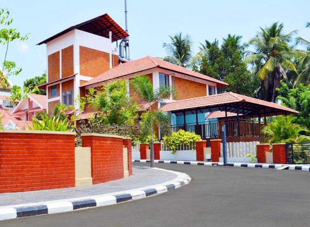 Images for Elevation of Apollo Seasons