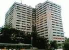 K D Saicon