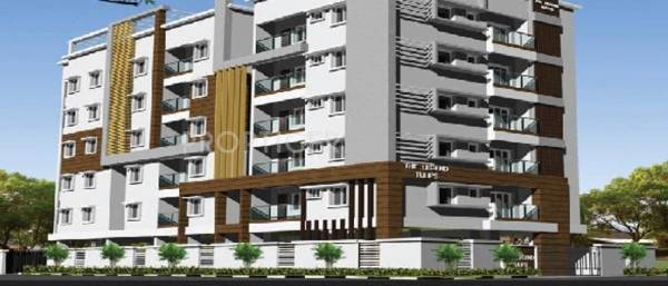 Images for Elevation of Legend Tulips Images for Elevation of Legend Tulips