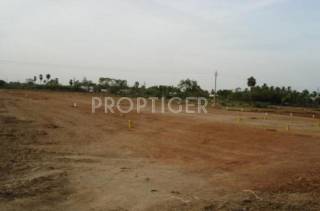 Project Image Project Image