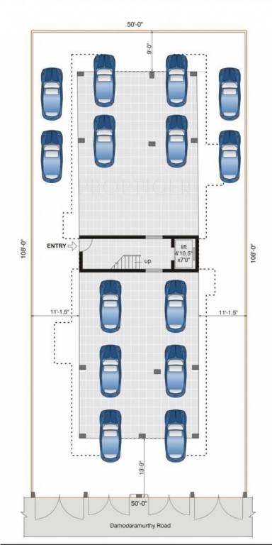 Images for Cluster Plan of Golden Crocus