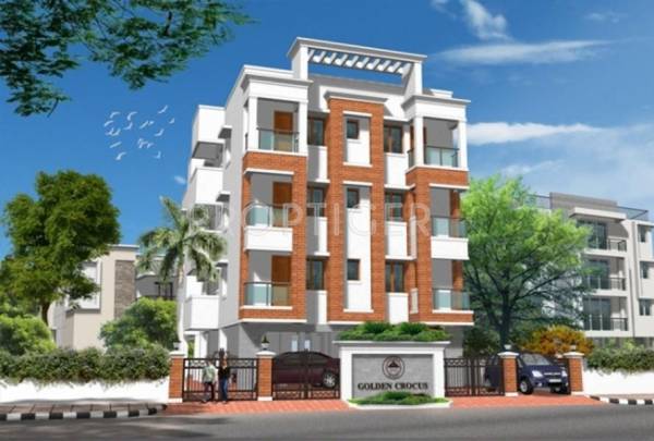 Images for Elevation of Golden Crocus Images for Elevation of Golden Crocus