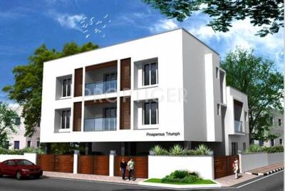 Golden Prosperous Prosperous Triumph