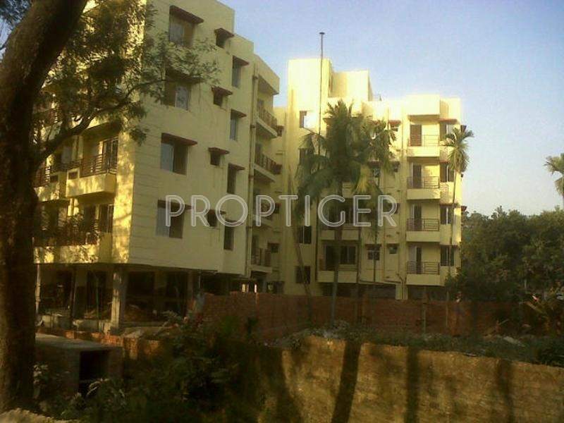 Images for Elevation of Magnolia Magnolia Crystal