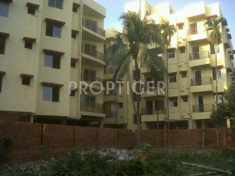 Images for Elevation of Magnolia Magnolia Crystal