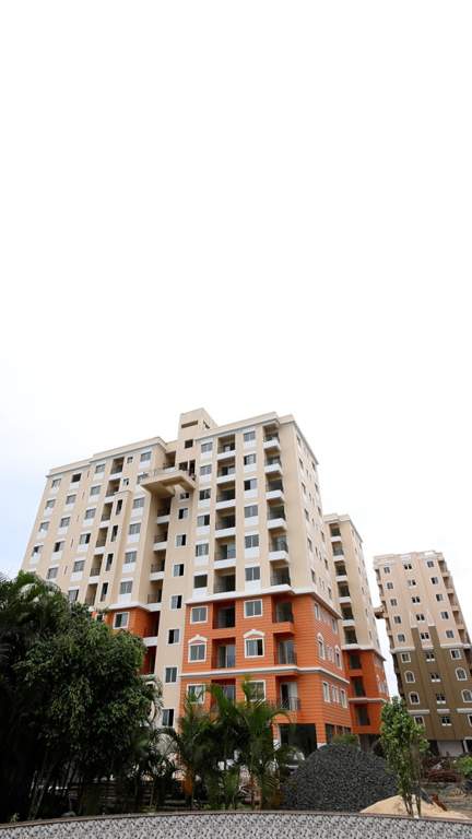  dream world city Elevation