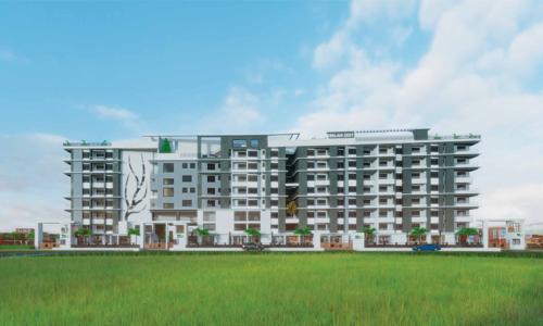  zest Images for Elevation of Belani Zest