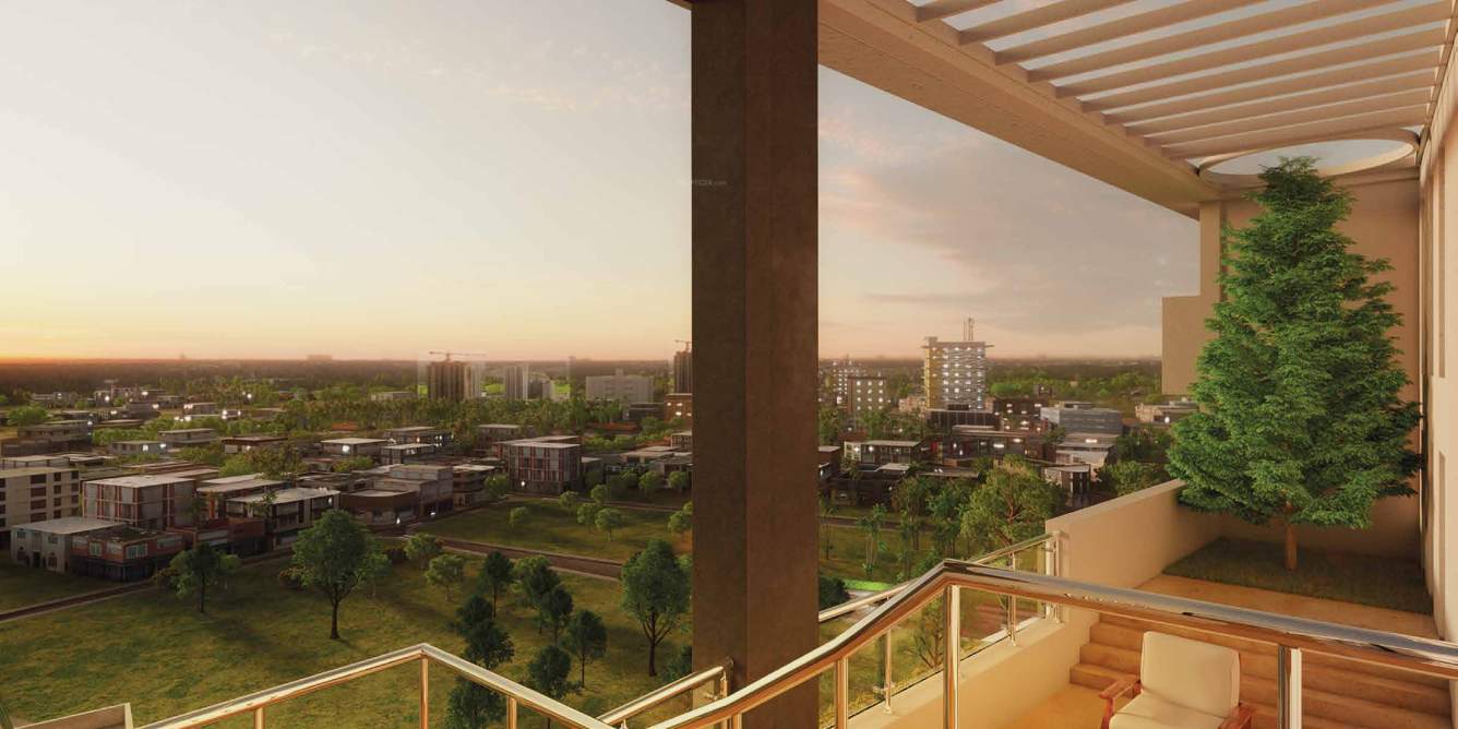 zest Images for Main Other of Belani Zest