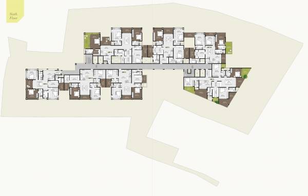  rainforest Rainforest Cluster Plan