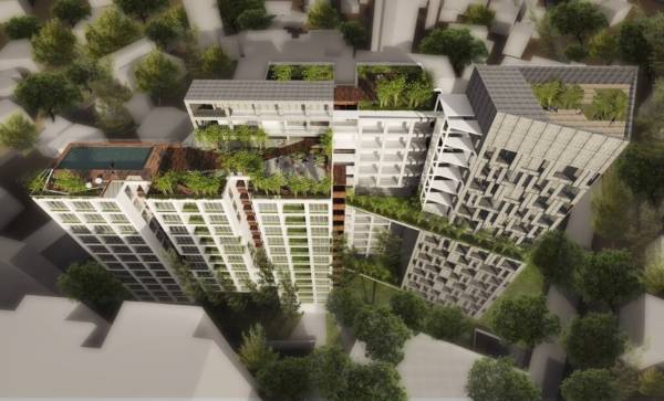  rainforest Images for Elevation of Artech Rainforest