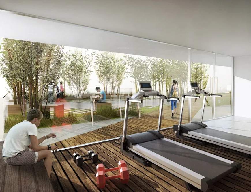  rainforest Gymnasium