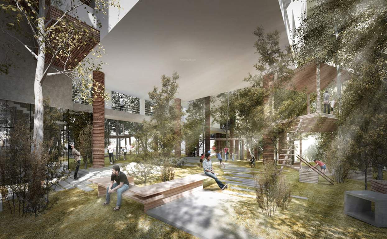  rainforest Senior Citizen Sitout