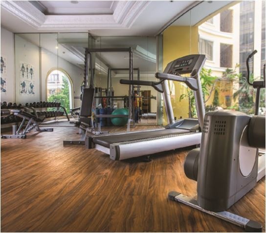 Gymnasium lavender Gymnasium