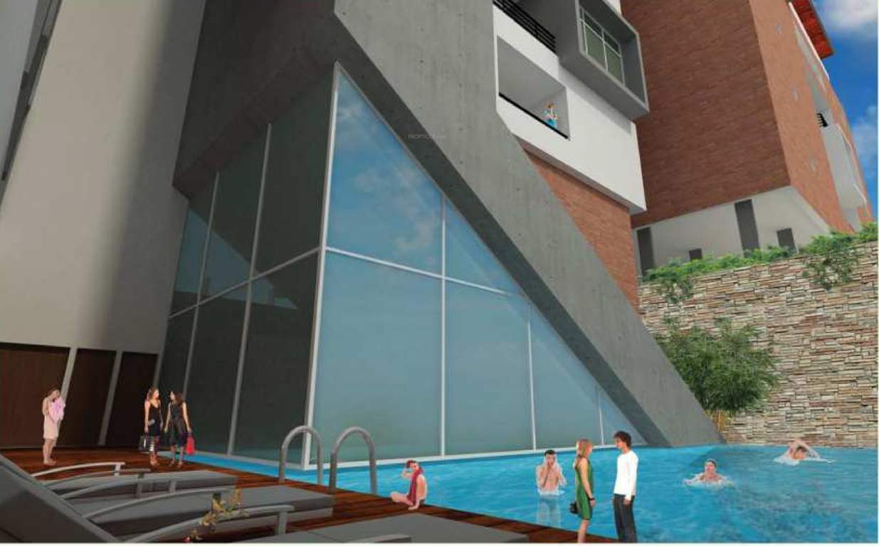  regalia Images for Amenities of Urbansky Regalia