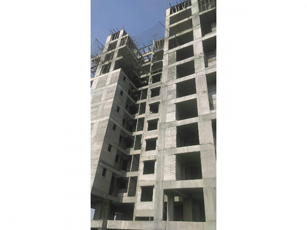  spring-valley D Wing Construction Status March-17