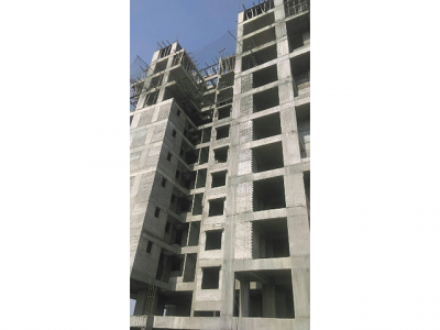 D Wing Construction Status March-17 spring-valley D Wing Construction Status March-17