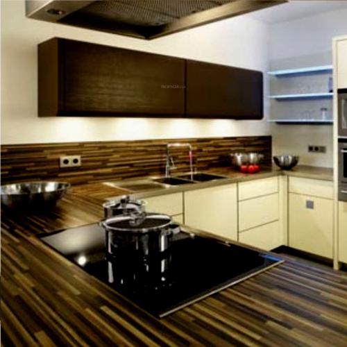  orchid Images for Main Other of Rajshree Orchid