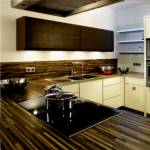 Images for Main Other of Rajshree Orchid orchid Images for Main Other of Rajshree Orchid