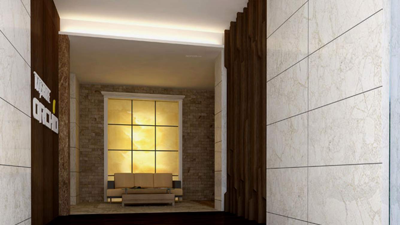  orchid Images for Main Other of Rajshree Orchid