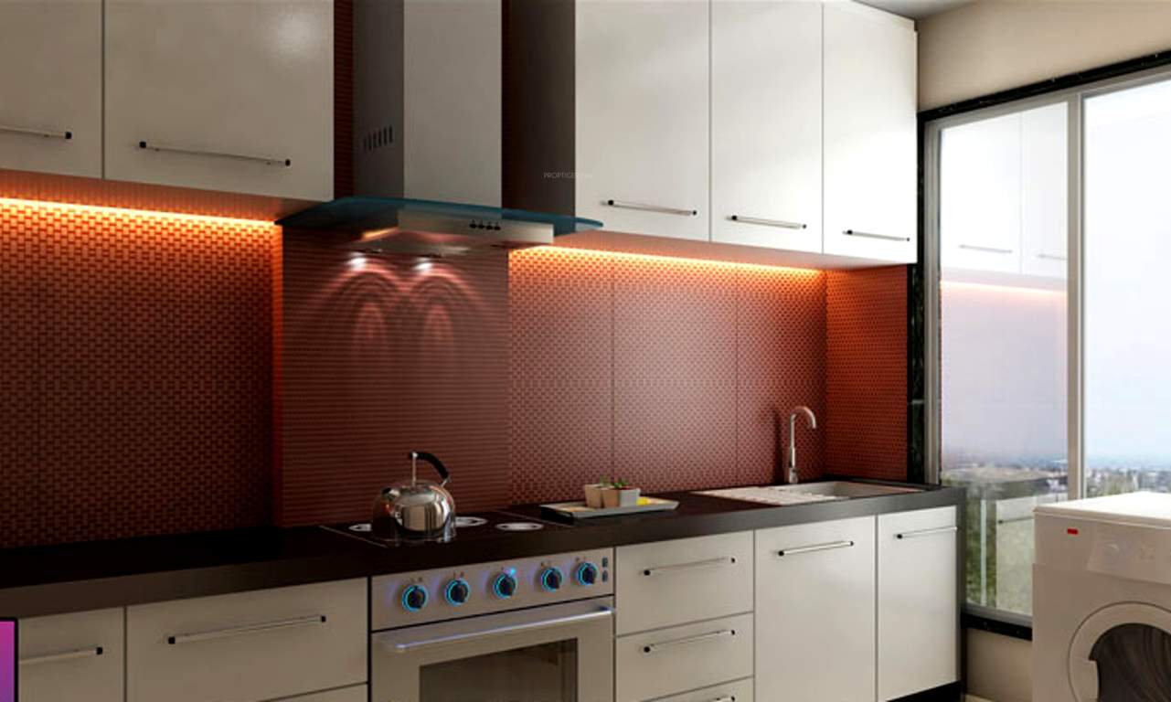  orchid Images for Main Other of Rajshree Orchid