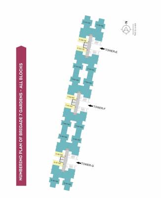  7-gardens Tower E To G Numbering Cluster Plan