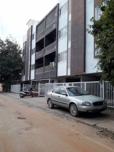 Elevation habitat Elevation