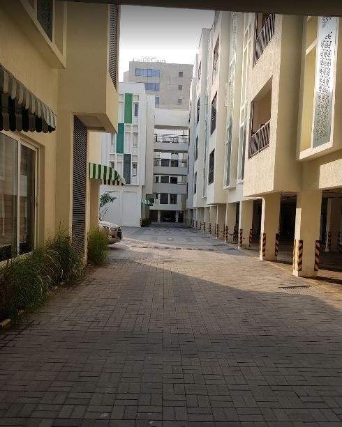  trellis south phase Landscape Garden and Tree Planting