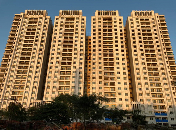  buena-vista Elevation