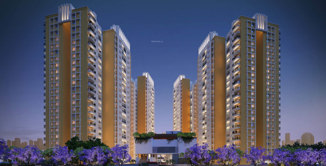 buena vista parent Elevation