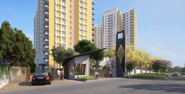  buena-vista-parent Elevation