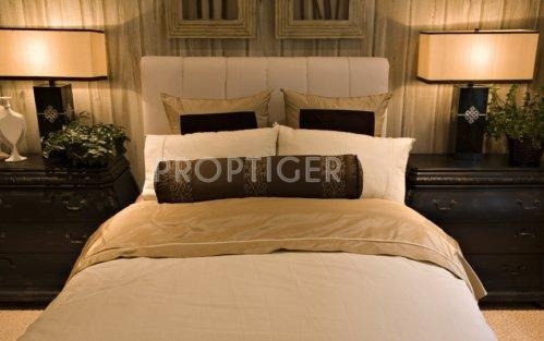 Images for Elevation of Reputed Builder Veena Apartment