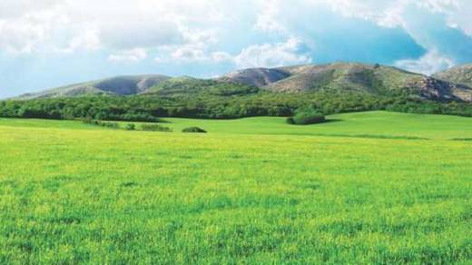 ss-teak-county-phase-2 Elevation Elevation