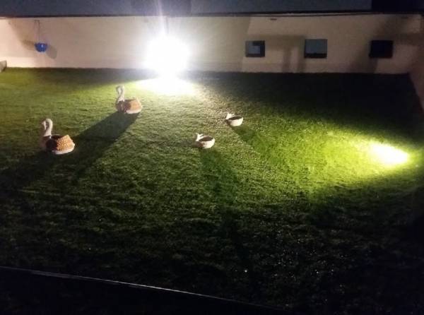  swarna-villas Others