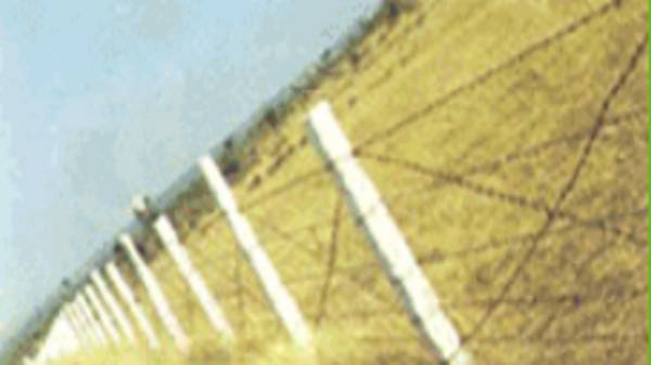  dream-city-2 Elevation