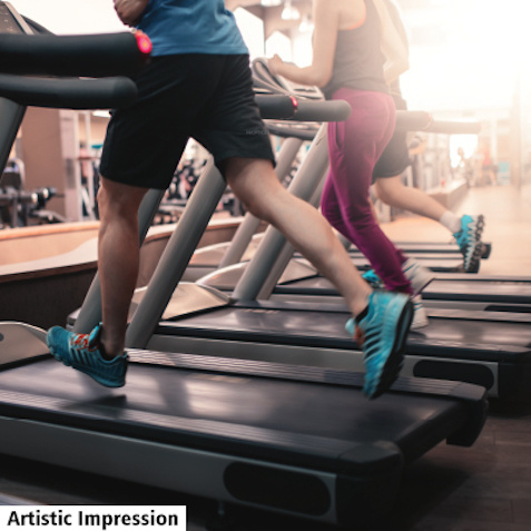 Gymnasium palacio Gymnasium