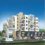 Blue Ventures Carnation