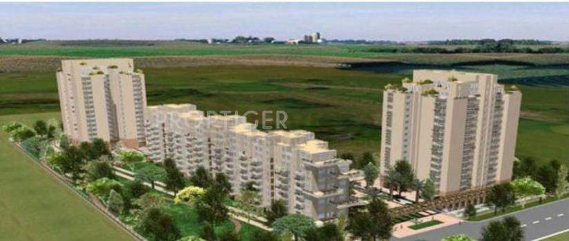  aloha Images for Elevation of Aez Aloha