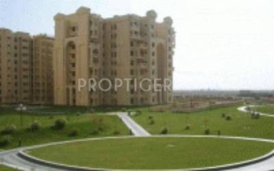  icon Stellar Group ICON