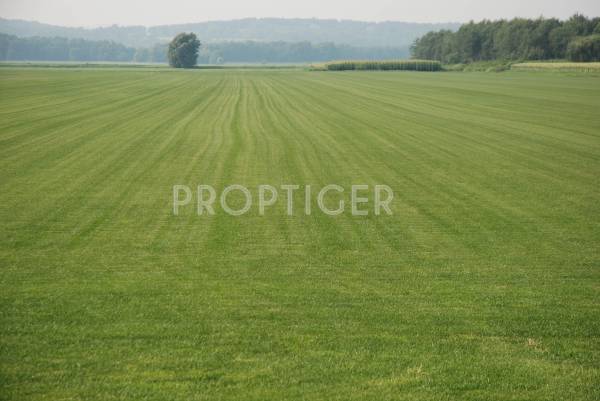 Images for Elevation of Green Zari 1