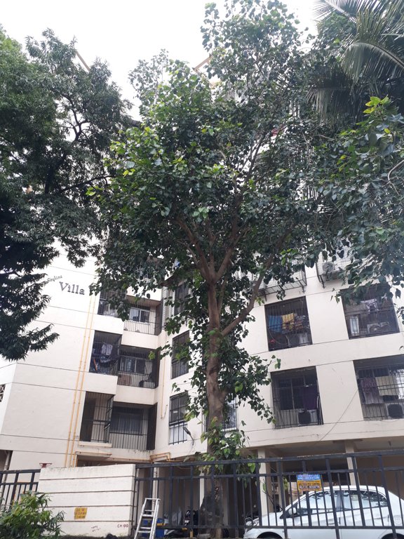  skyline villa Elevation