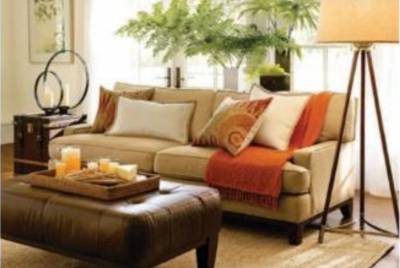  nirala-hills Images for Main Other of Nirala Nirala Hills