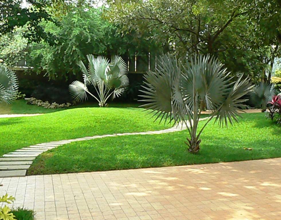 joy square Images for Amenities of Squarefeet Joy Square