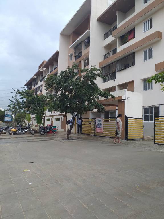 springs Images for Project