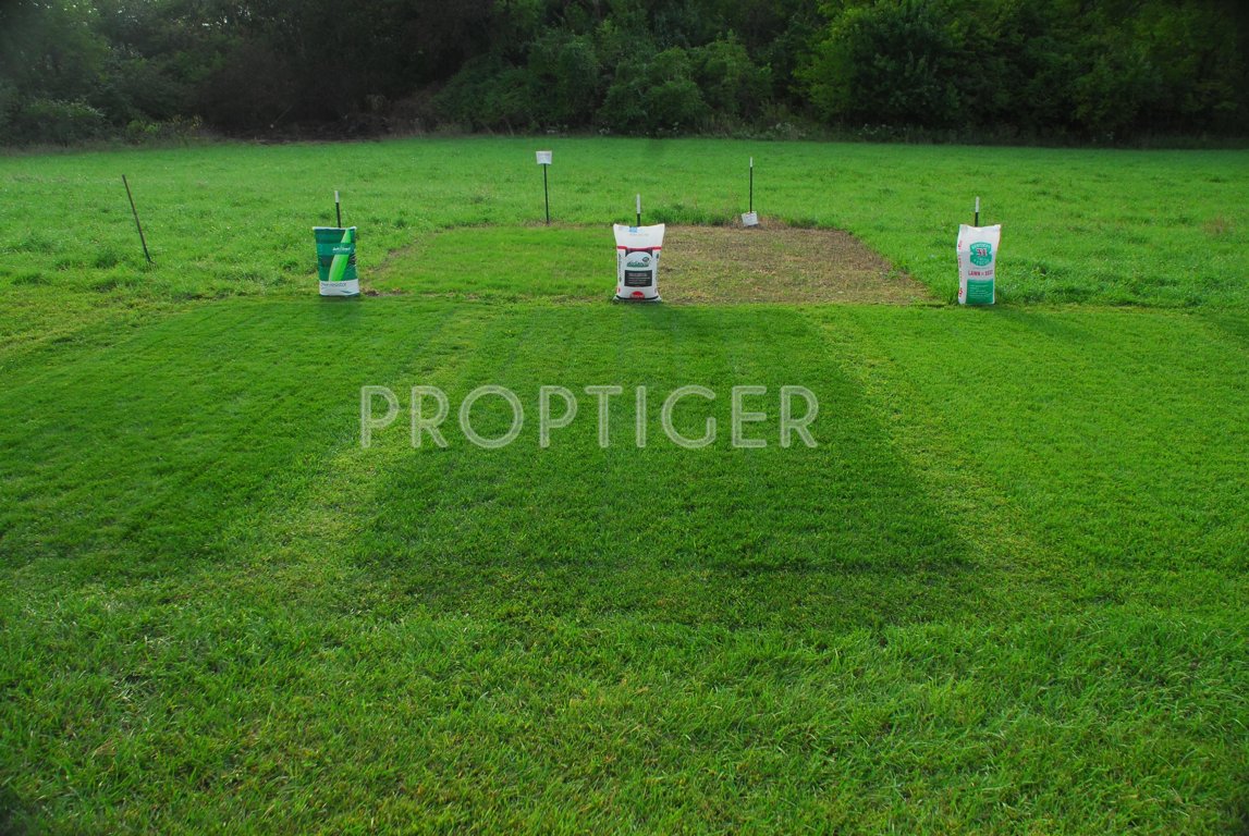 Images for Elevation of Jaypee Kensington Park Plot 1