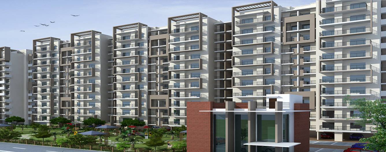 Images for Elevation of Best Orchid Greens