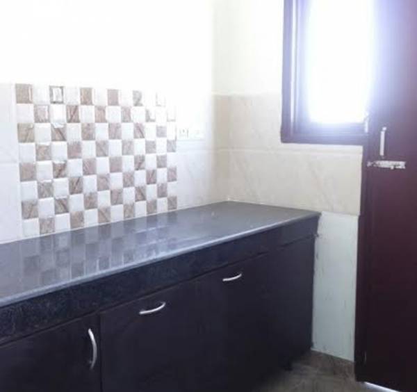 Images for Main Other of Best Orchid Greens