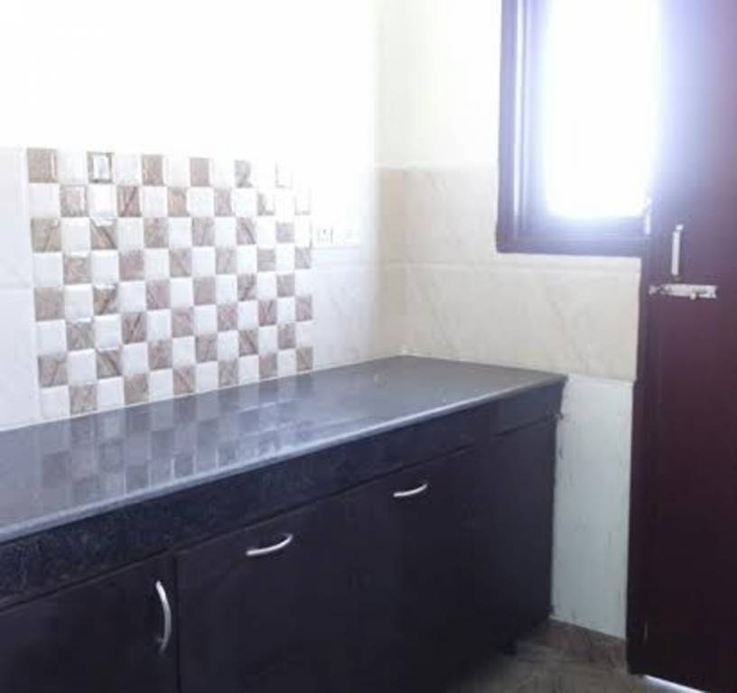 Images for Main Other of Best Orchid Greens